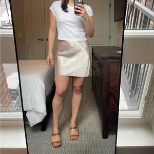 Aritzia Babaton silk skirt